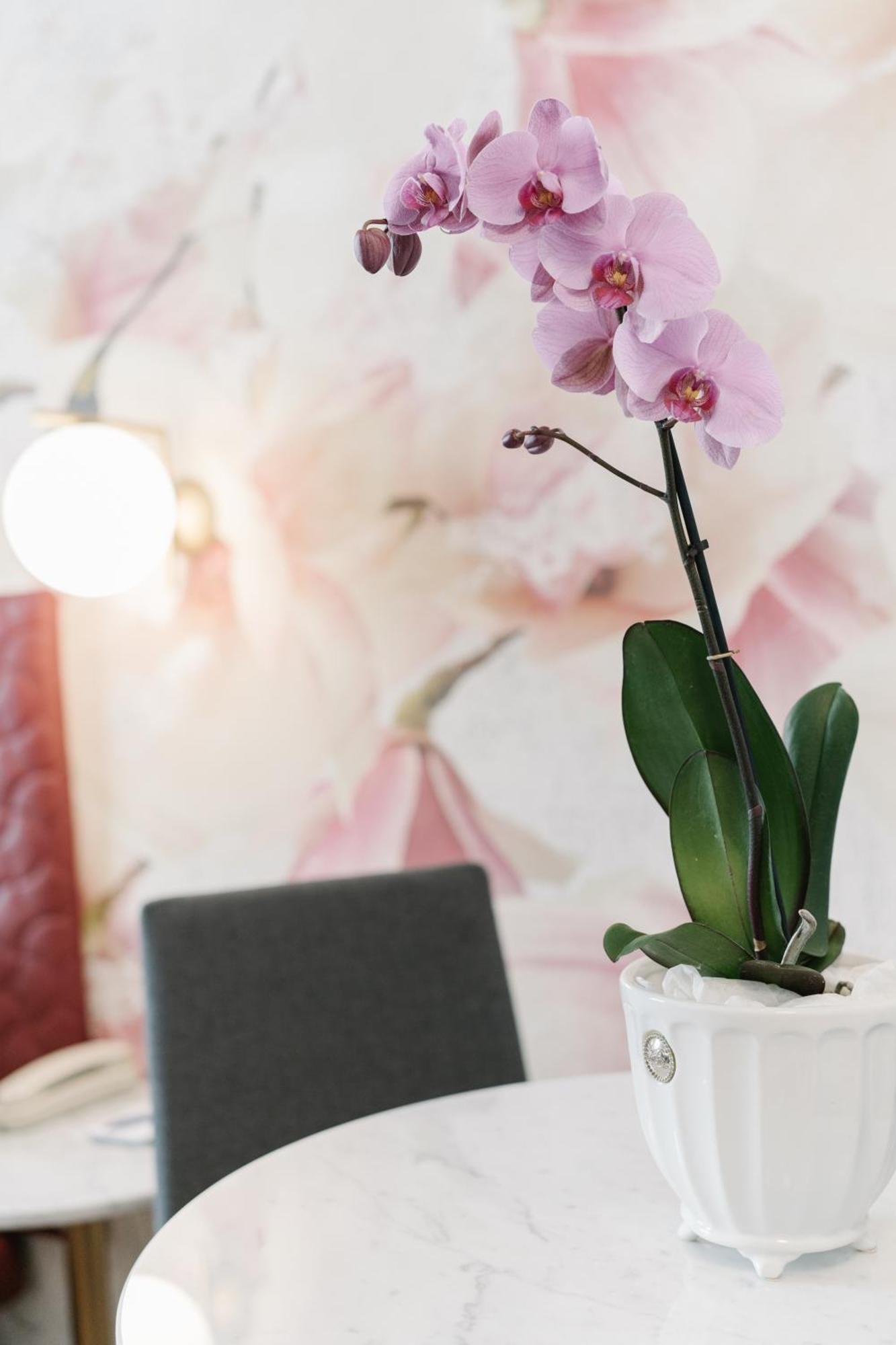 Suite mit Terrasse