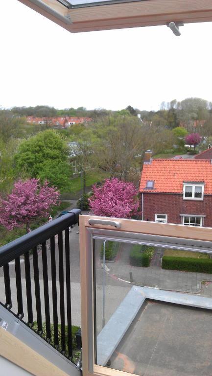 Suite (Haustiere nicht erlaubt)