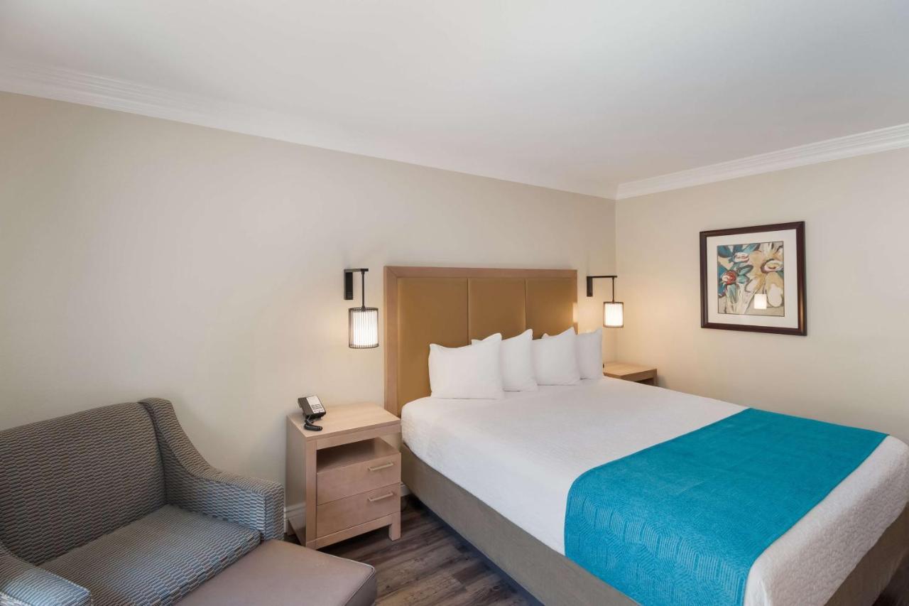 Zimmer mit Kingsize-Bett und Terrasse - Nichtraucher