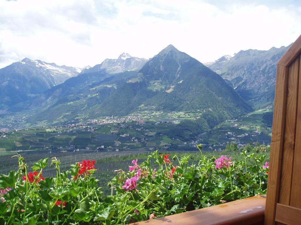 Doppelzimmer mit Balkon