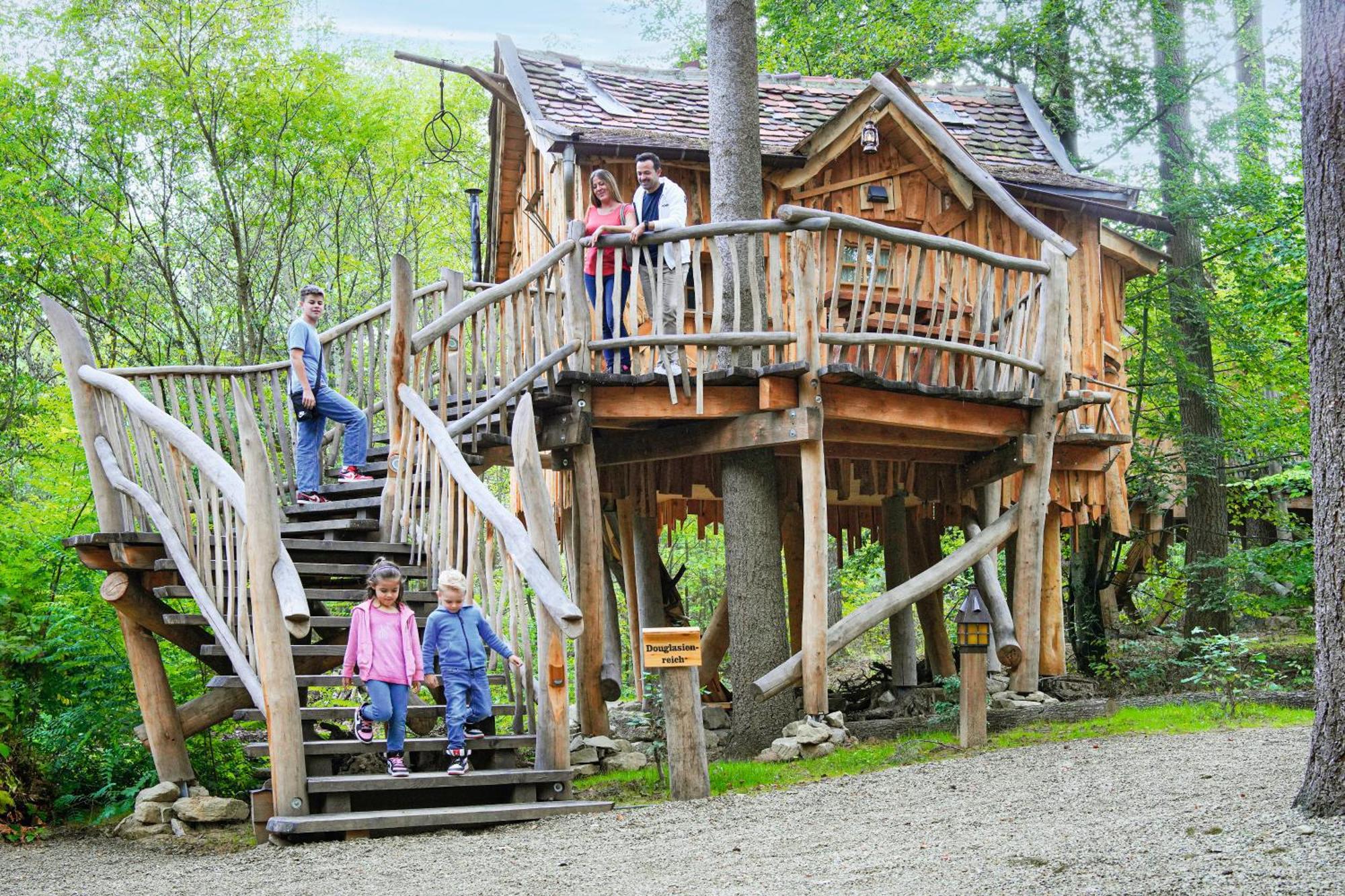 Tree House up to,1301508934:JPEG