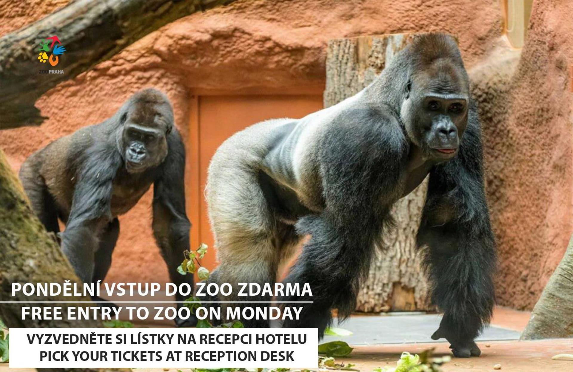 Standard Zimmer mit kostenlosem Eintritt in den Zoo