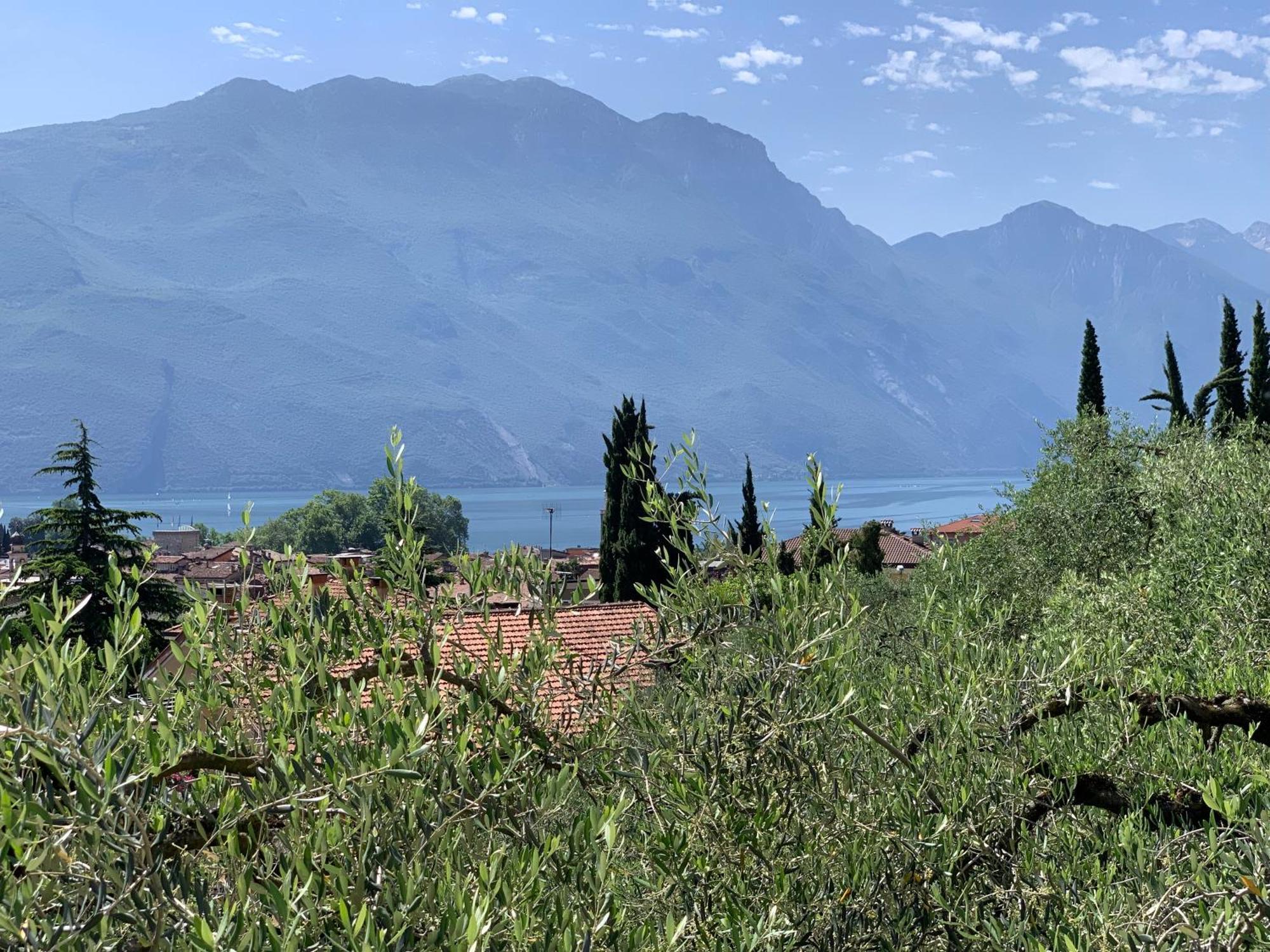 Superior Apartment mit 2 Zimmern, Balkon und Seeblick