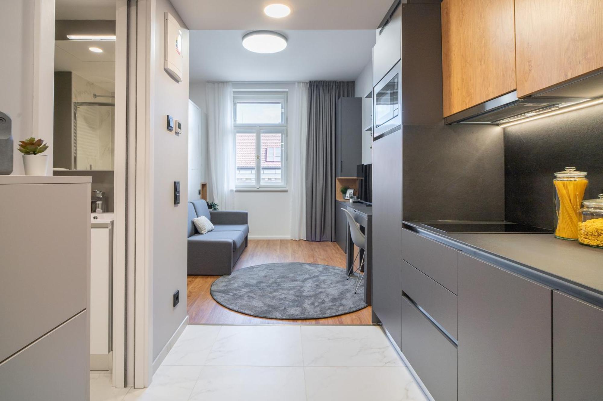 Apartment mit 1 Schlafzimmer
