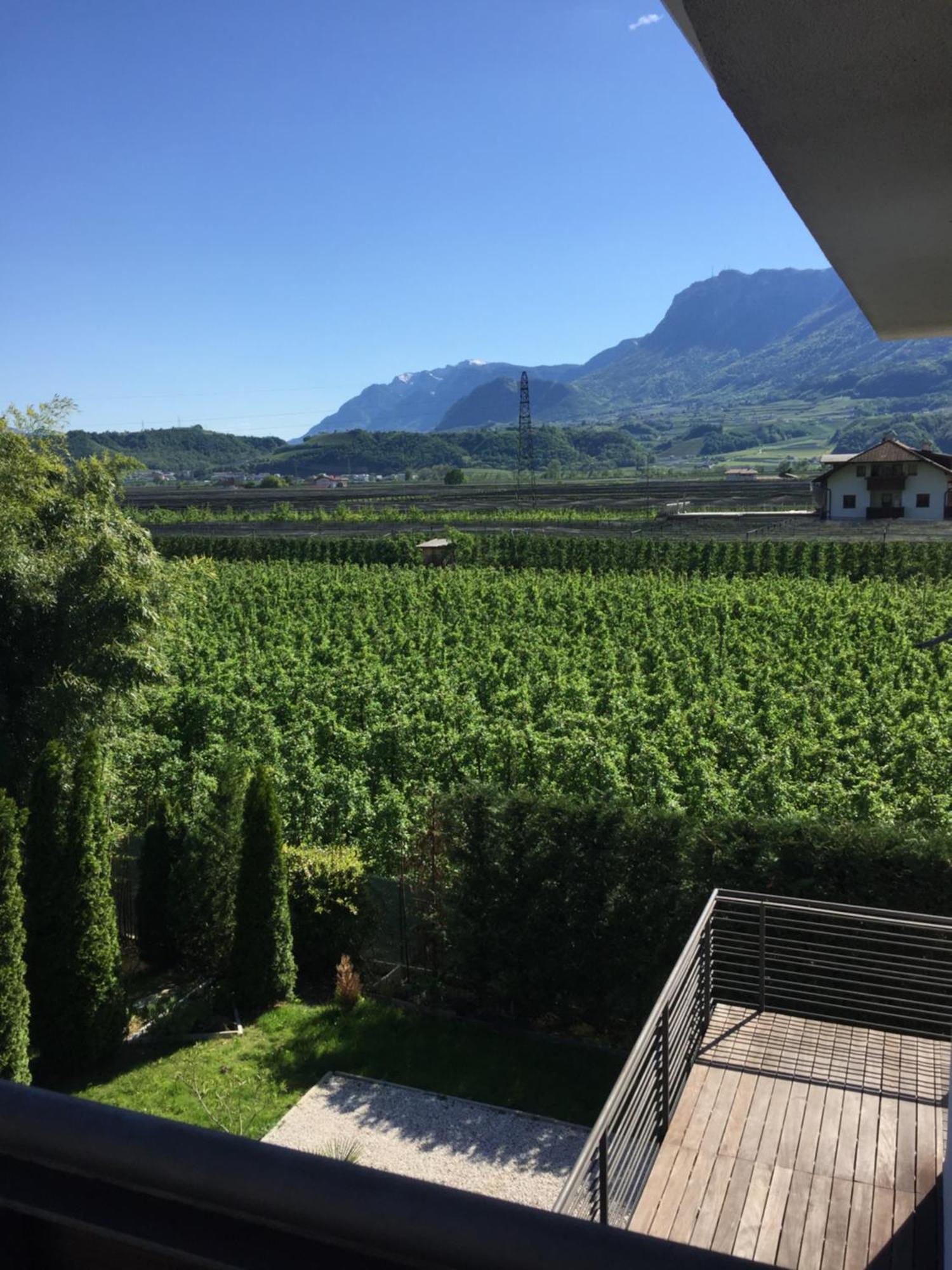 Junior Suite für Familien
