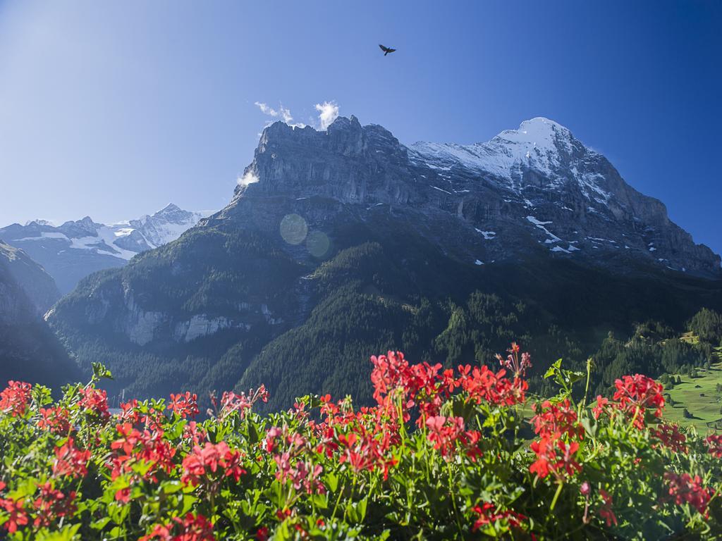 Superior Doppelzimmer mit Blick auf den Eiger