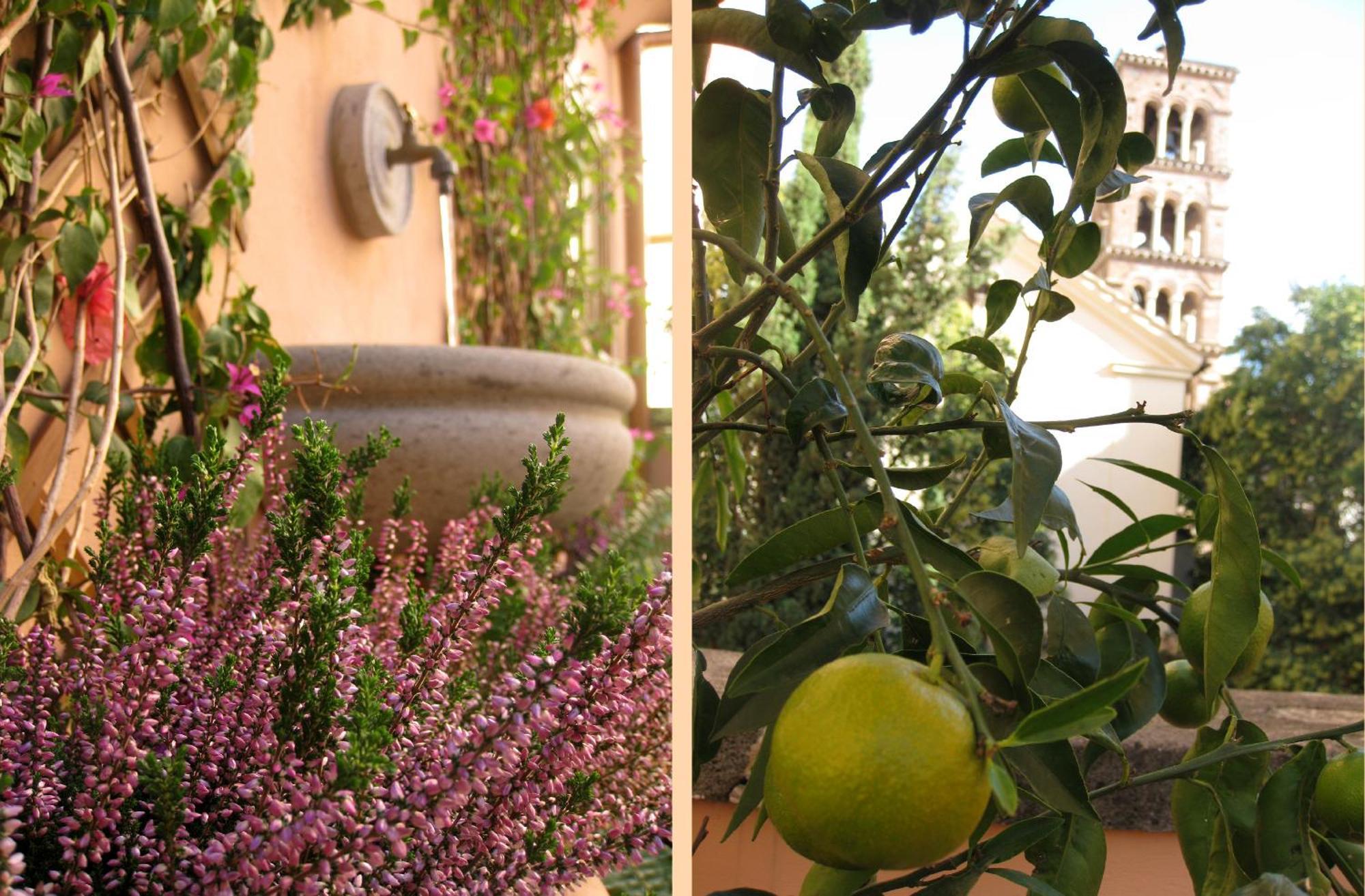 Doppelzimmer mit Terrasse