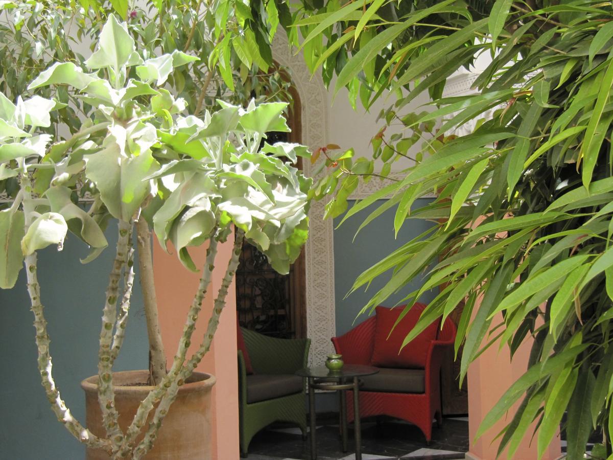 Suite mit Terrasse