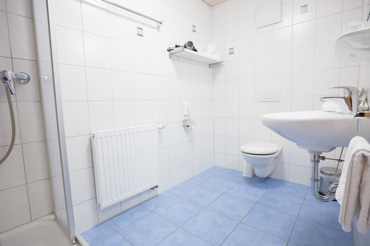 Apartment mit 1 Schlafzimmer