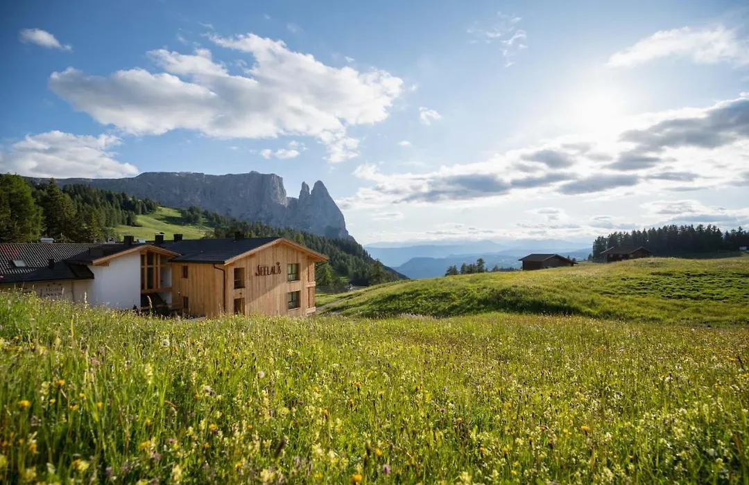 Hotel Seelaus-1