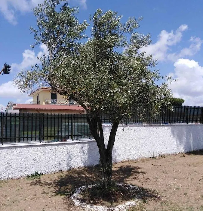 Villa Ivana-1