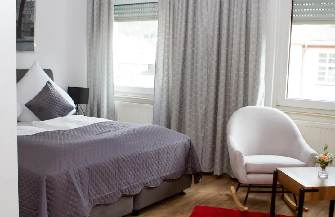 Stadthotel Marburg-1