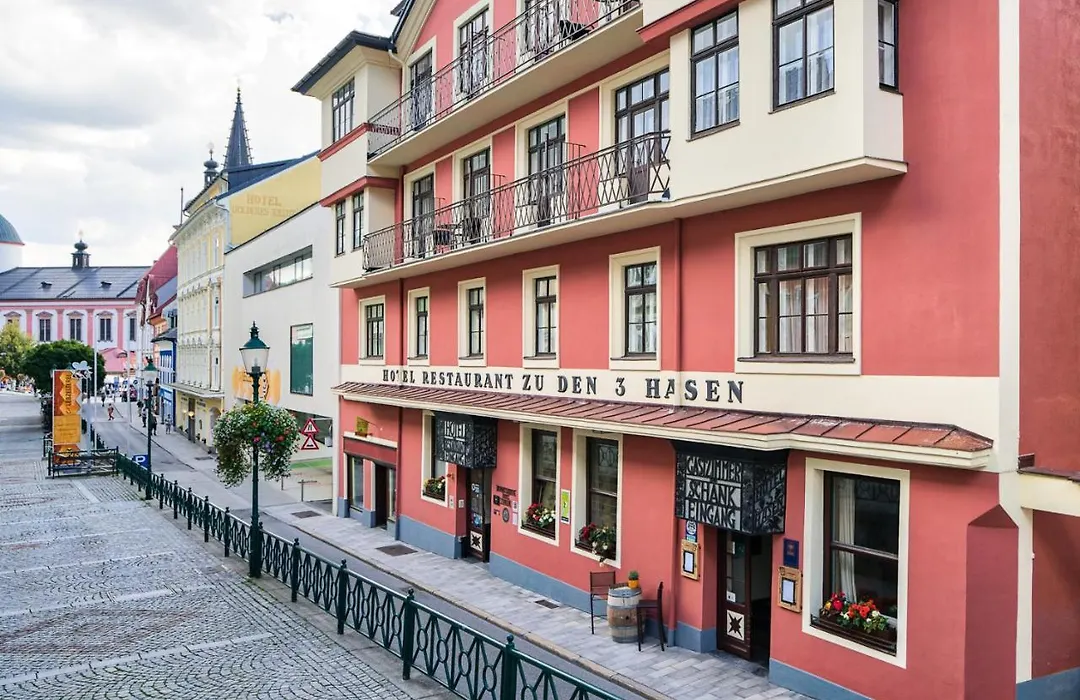 Hotel Drei Hasen-1