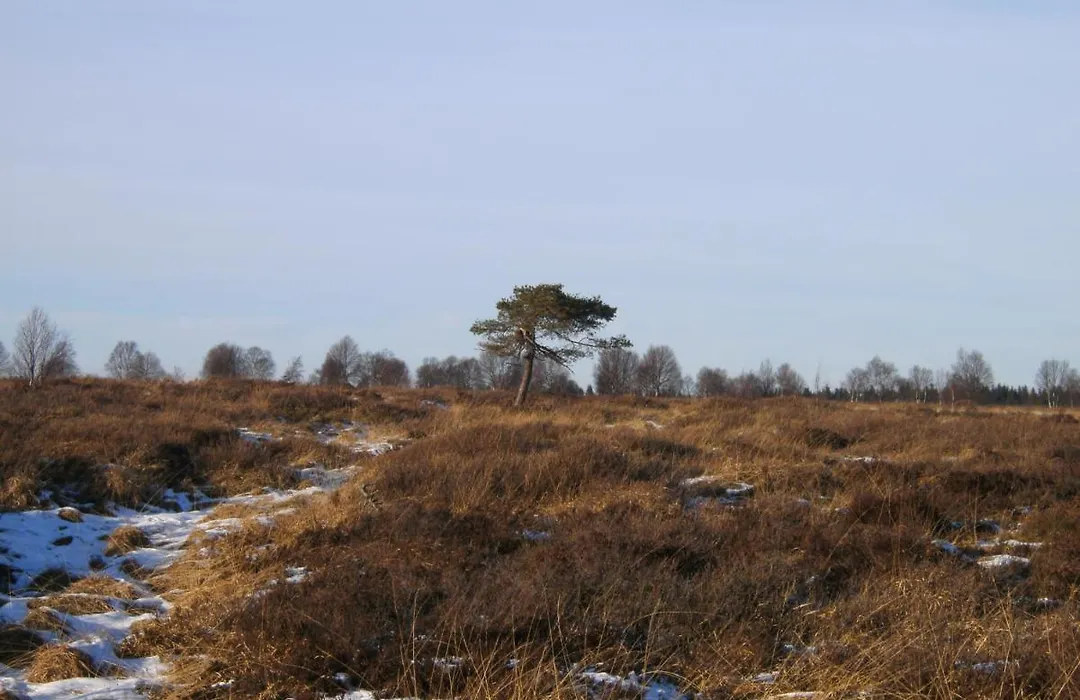 Naehkiste-1