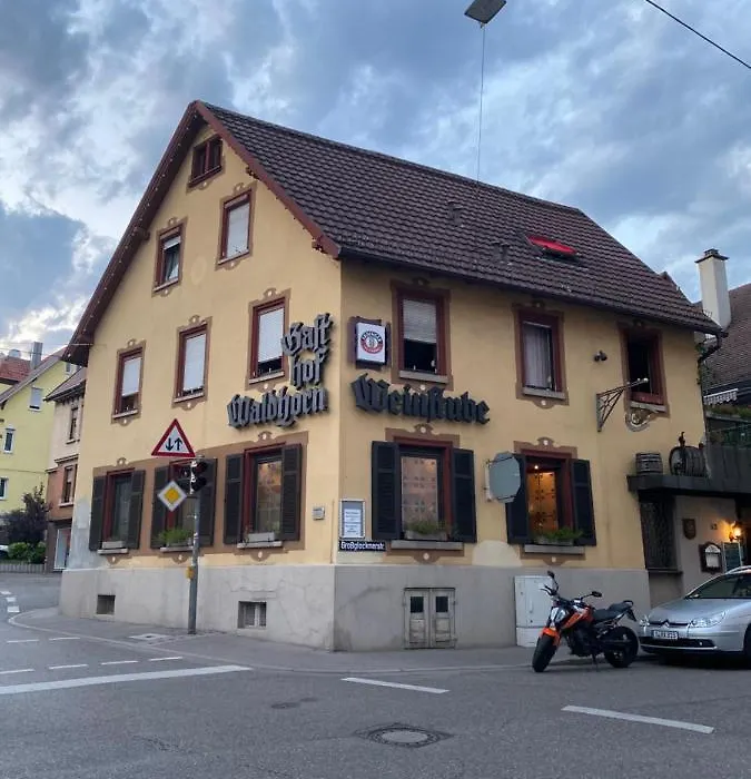 Hotel Waldhorn-1