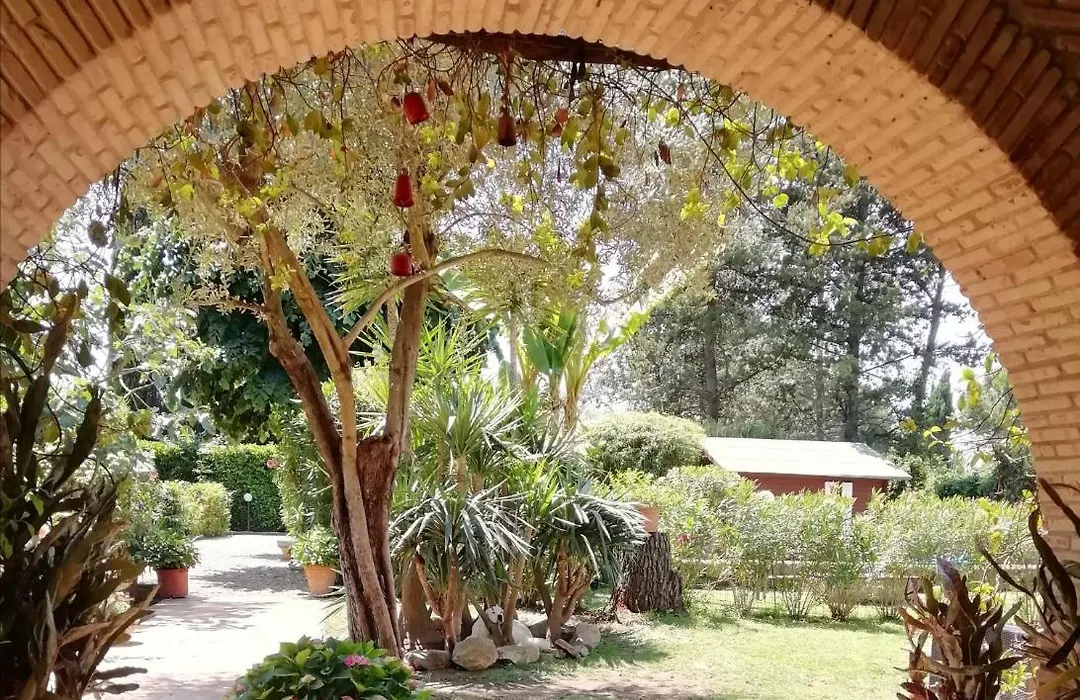 Appia Antica Cottage-1