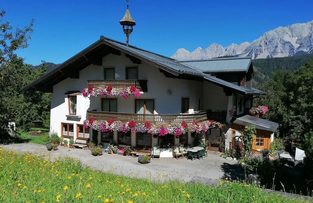 Schererhof-1
