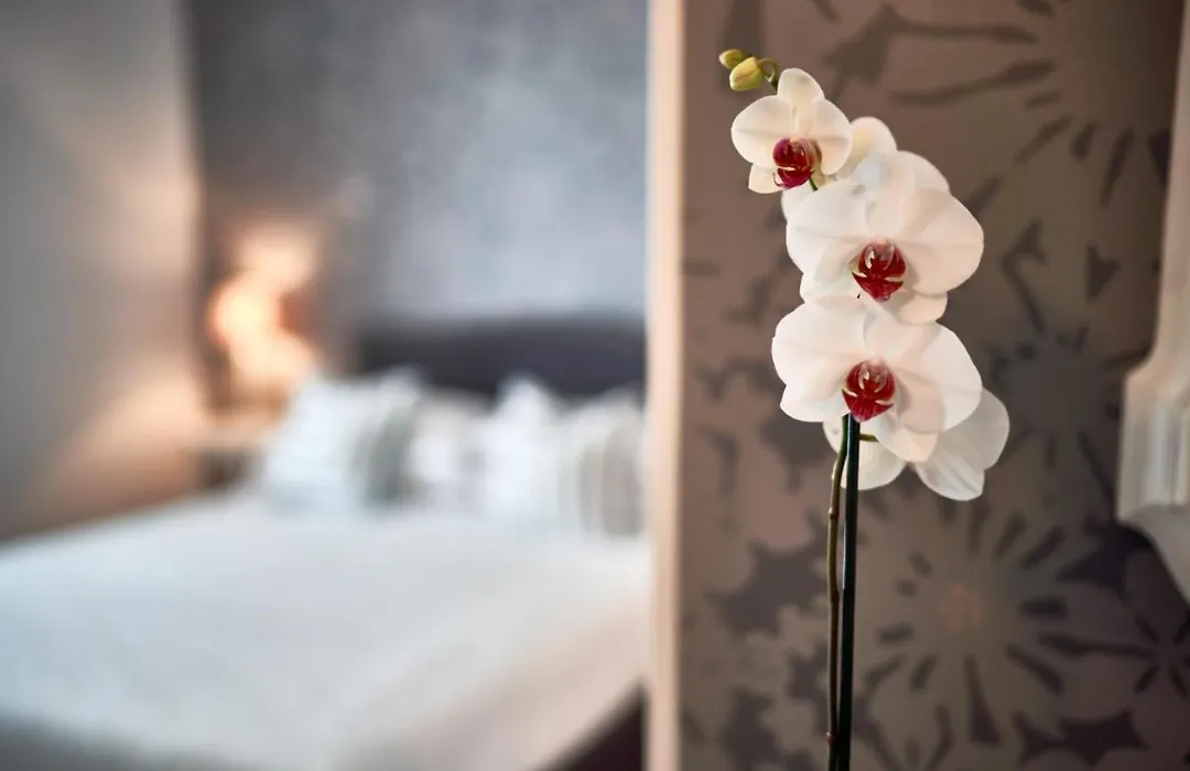 Hotel Clodia - Adults Only-1