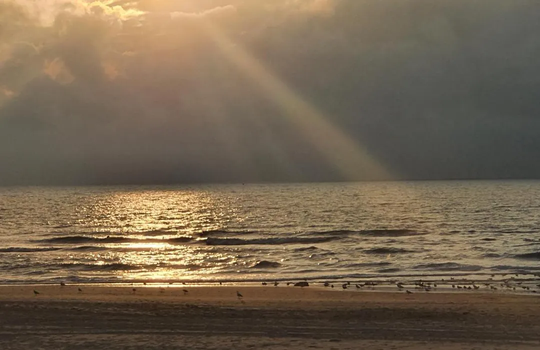 Scheveningen Sea Side-1