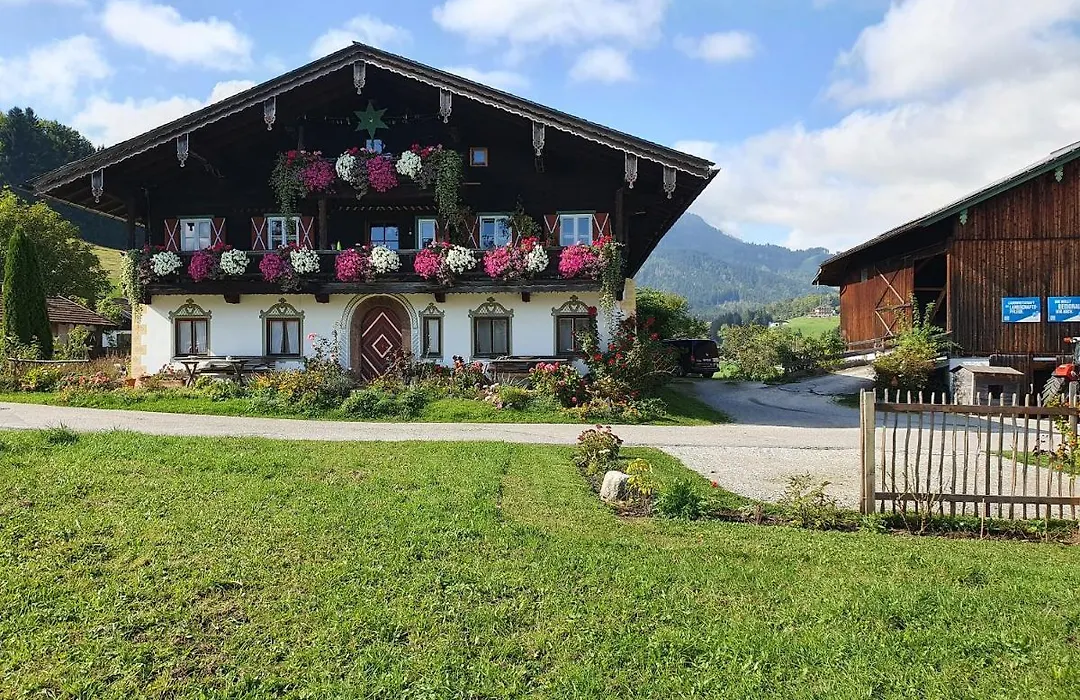 Haus Matzl-1