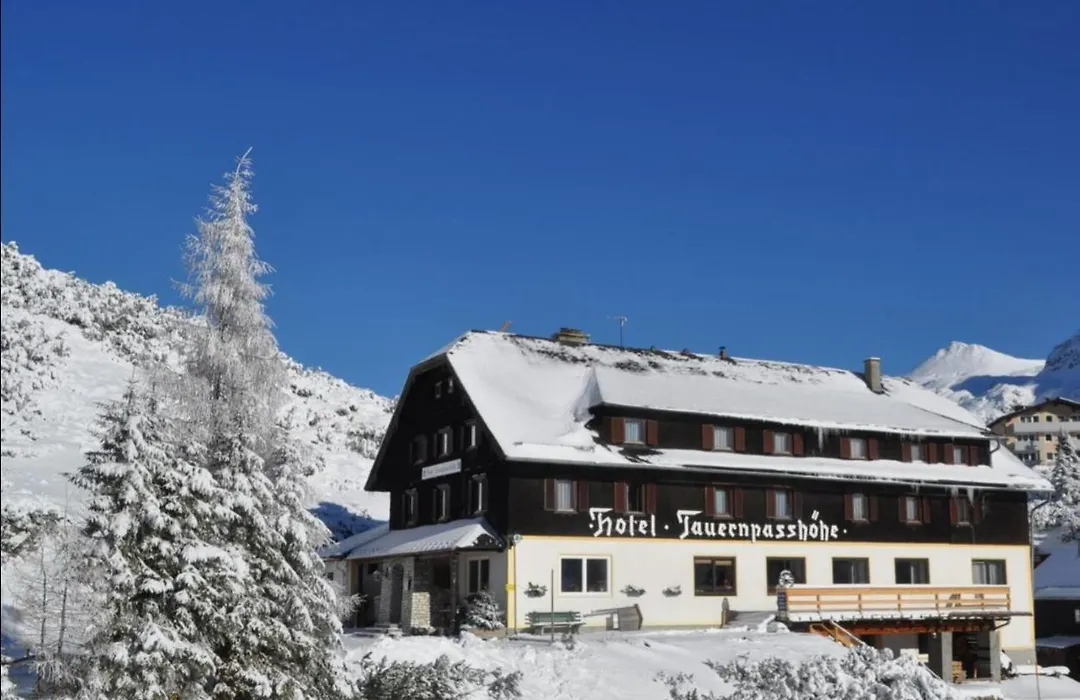 Hotel Tauernpasshöhe-1