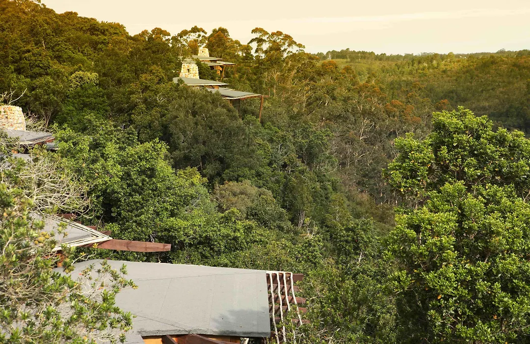 Tsala Treetop Lodge-1