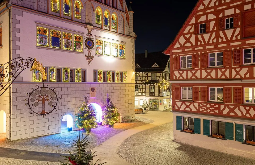 Hotel Restaurant Grüner Baum und Altes Tor-1