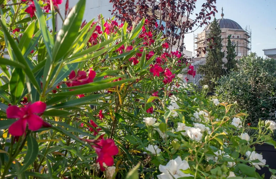 Kimon Hotel Athens-1