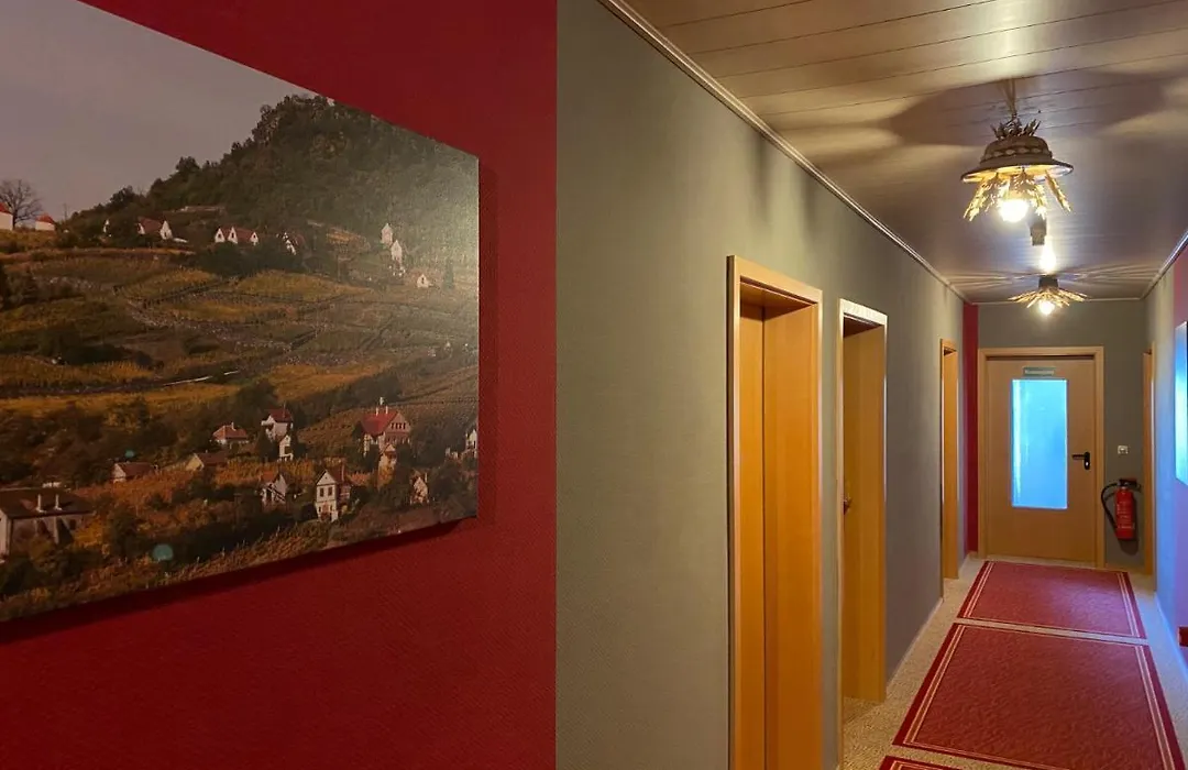Hotel zum Ziehbrunnen-1