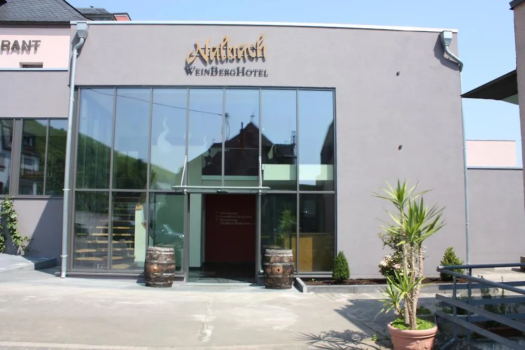 WeinBergHotel Nalbach-1
