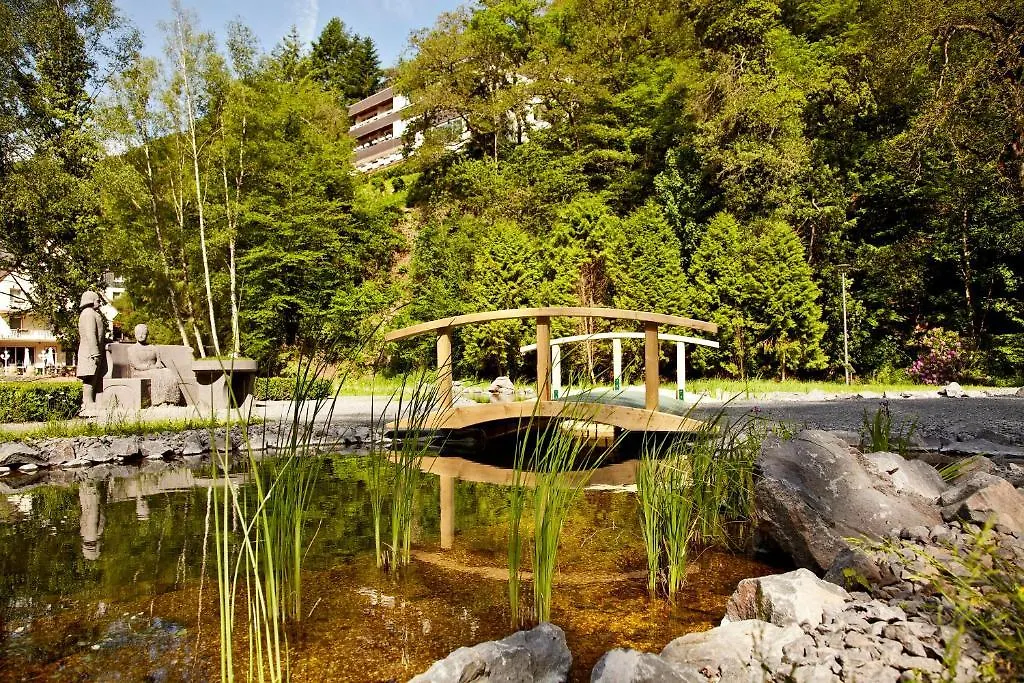 Hotel Alte Muehle-1