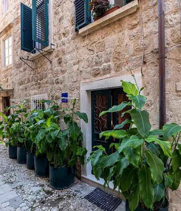 B&B Buza House-1