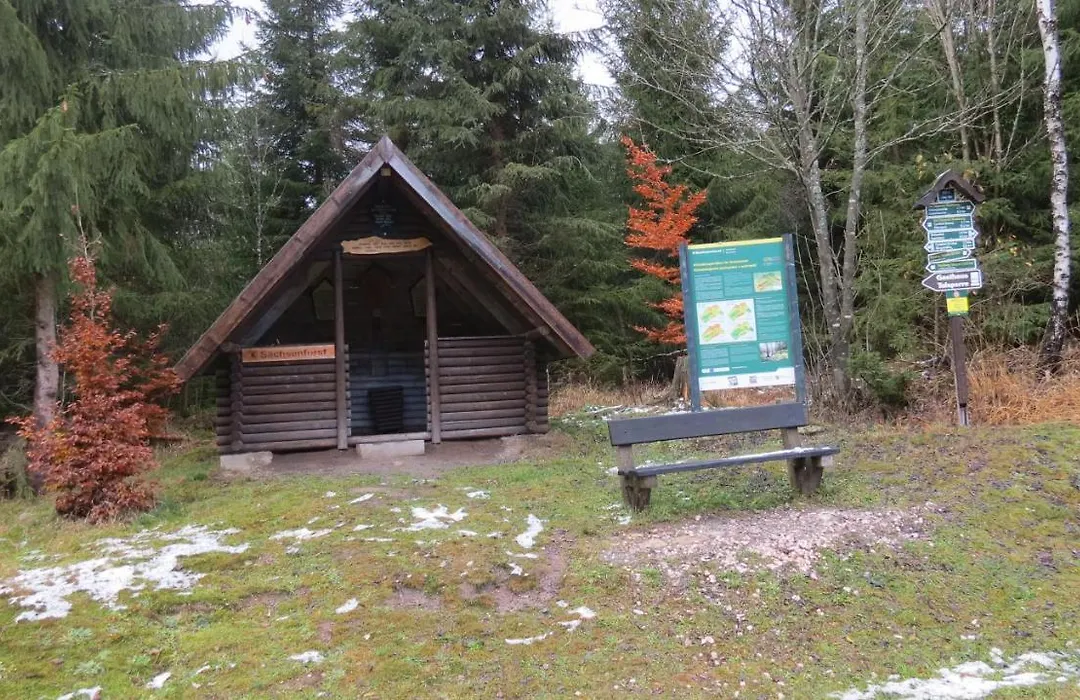 Pension Waldhaus-1