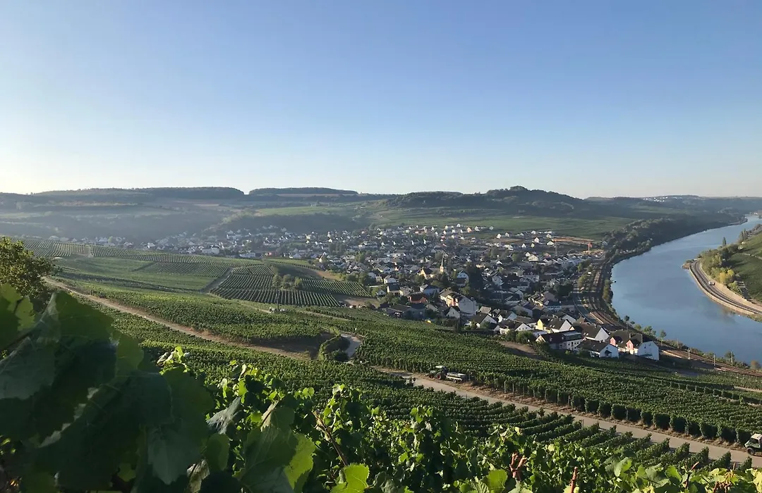 Gästehaus und Weingut Bernd Frieden-1