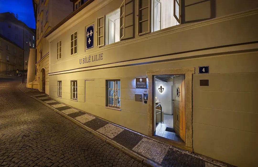 Hotel At The White Lily-1