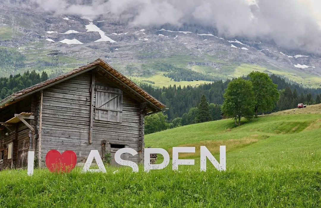 Aspen Alpine Lifestyle Hotel-1
