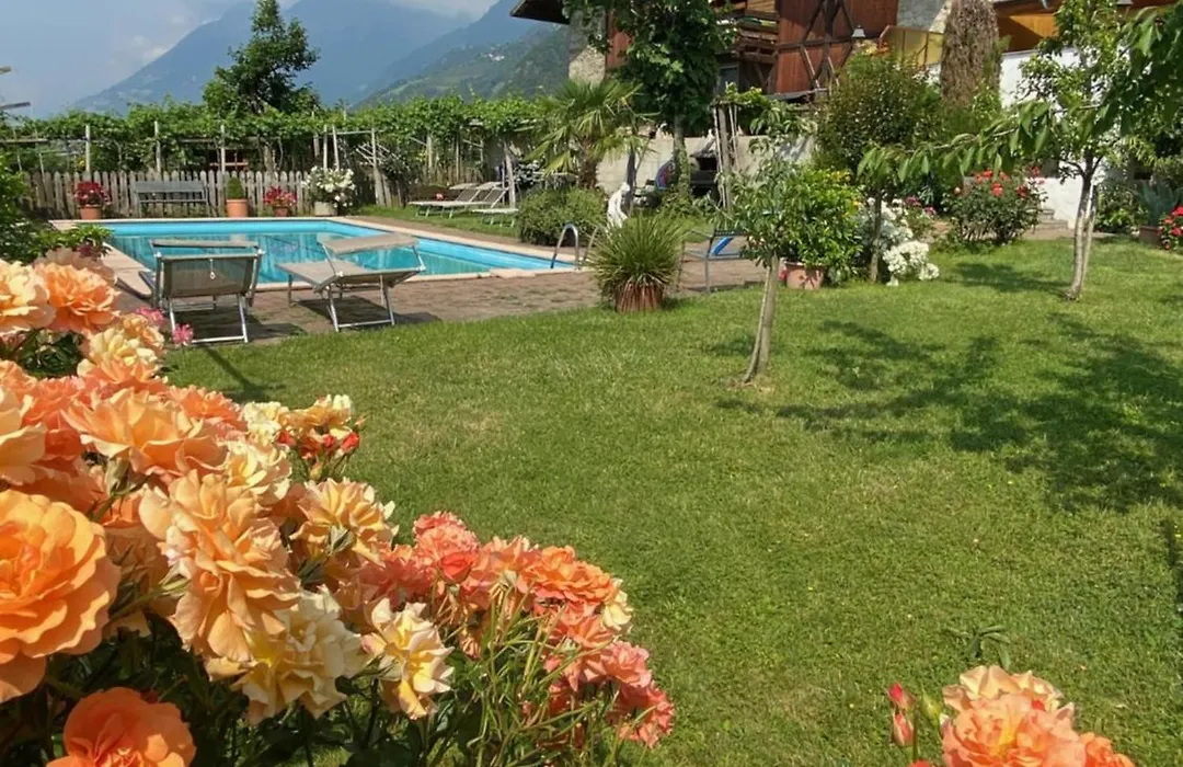 Garni-Hotel Tritscherhof-1