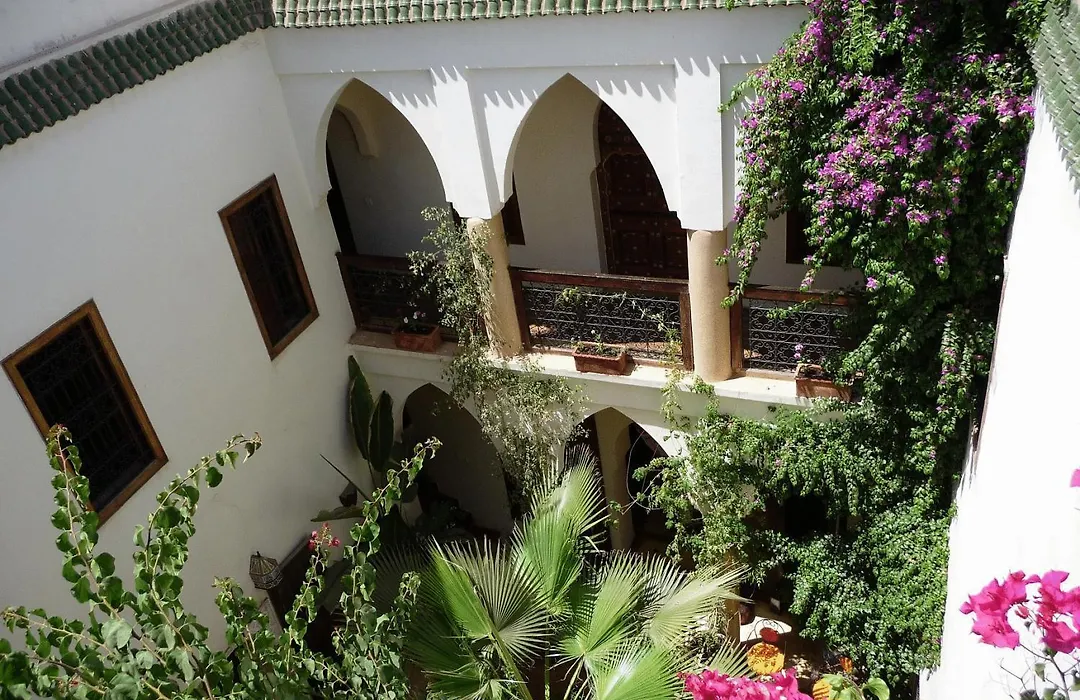 Riad Al Faras-1