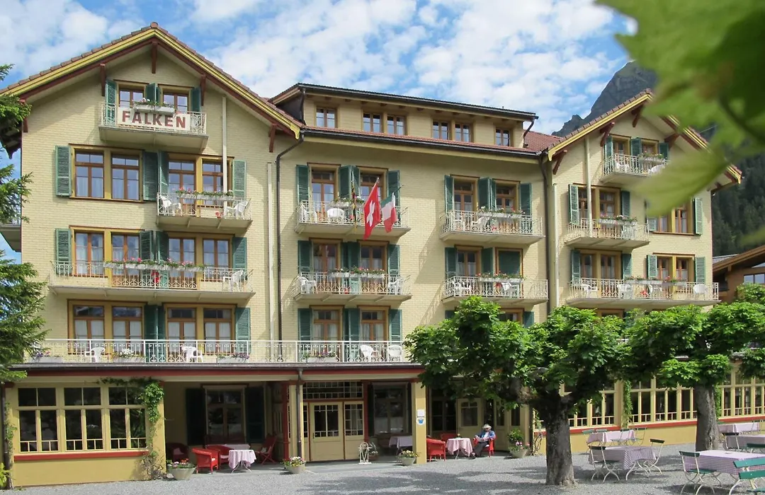 Historic Hotel Falken-1