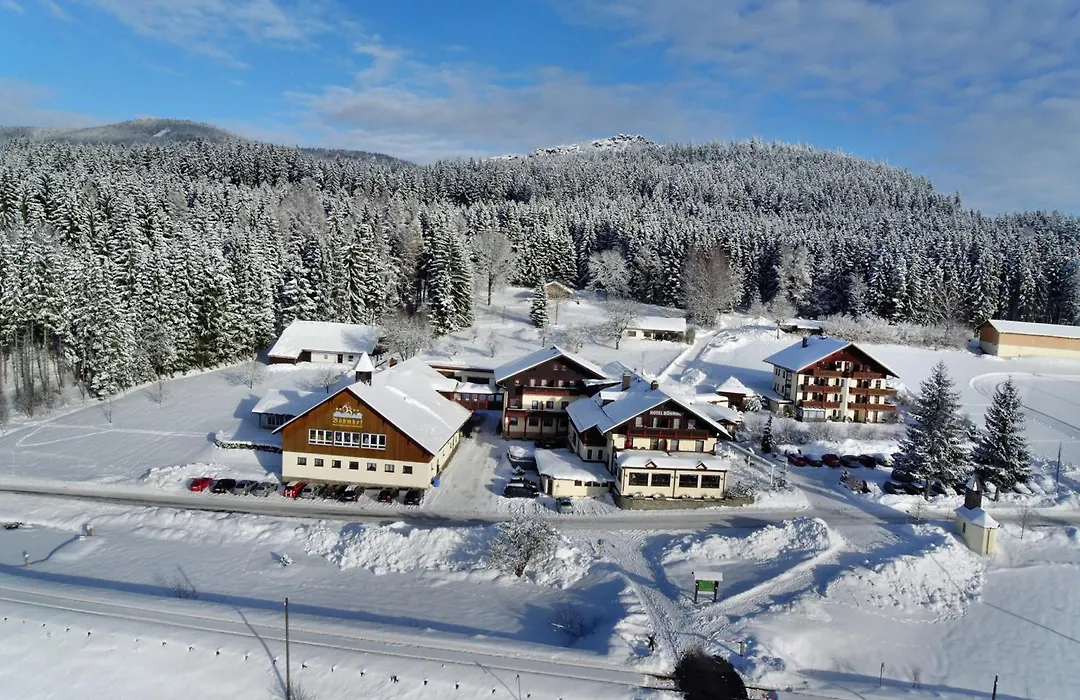 Wellness- und Vitalhotel Böhmhof-1