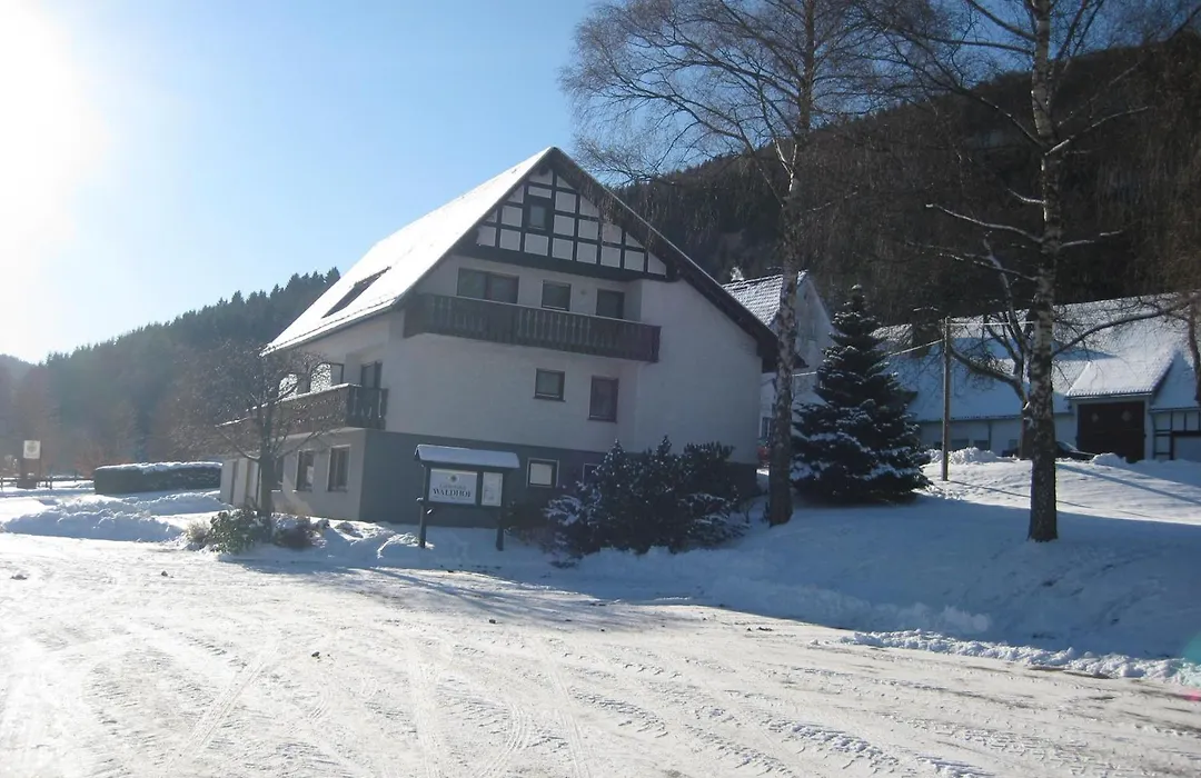 Pension-Gästehaus Waldhof-1