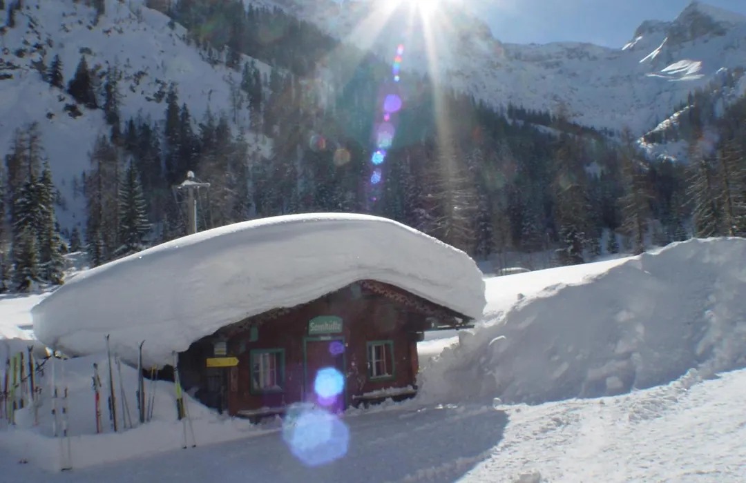 Alpengasthof Gern Alm-1