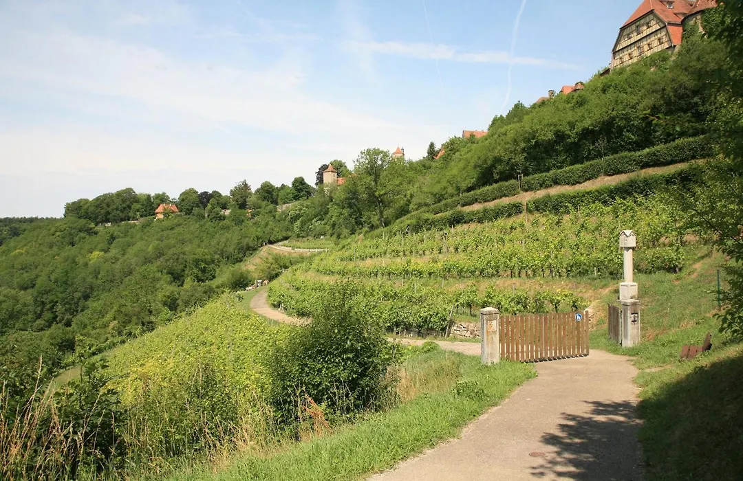 Glocke Weingut und Hotel-1