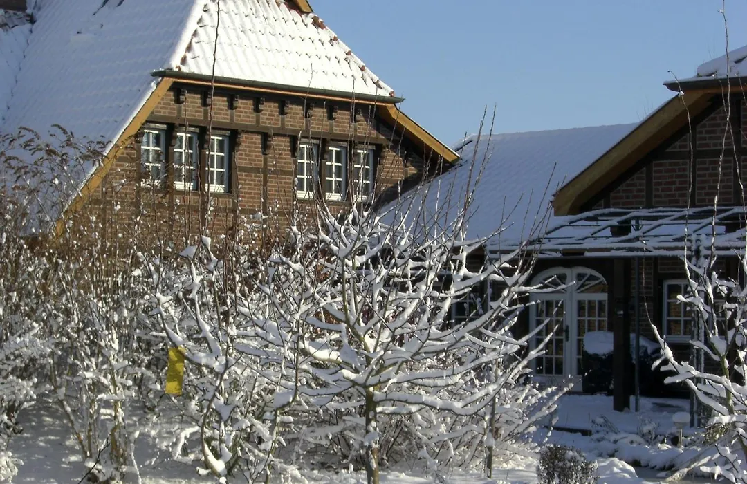 The Cosy Home-1