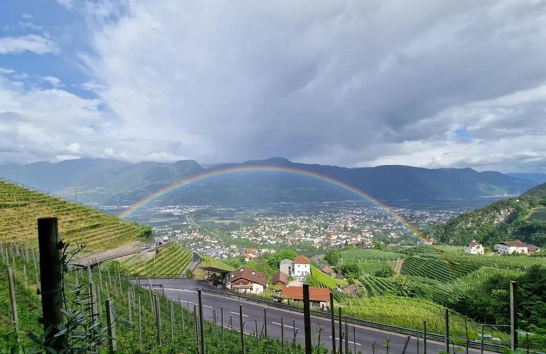 Hotel Garni Vigilhof-1