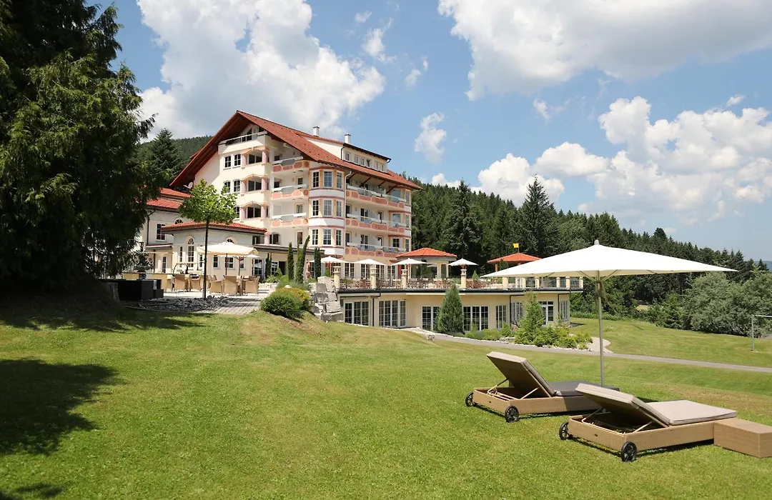 Ailwaldhof Parkhotel & Spa-1