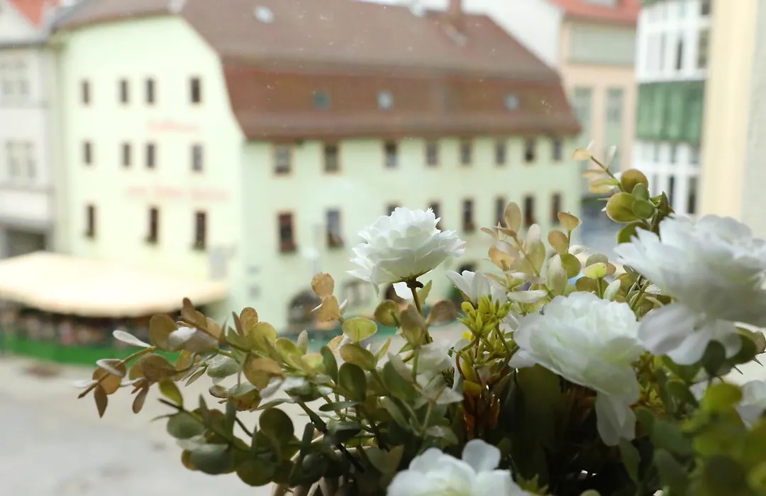 Neue Pension Stadtmitte Jena-1