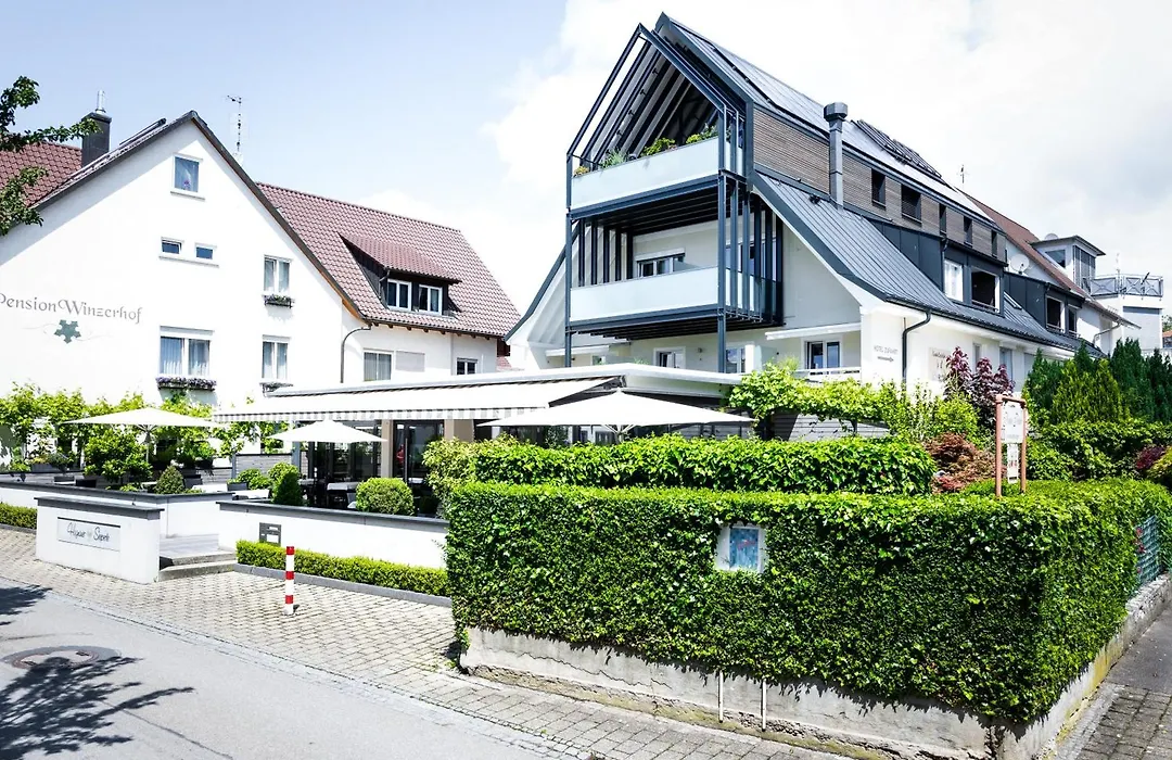 Hotel Hagnauer Seeperle-1