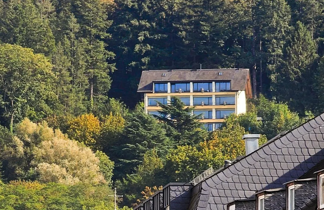 Vintage Hotel Petrisberg-1