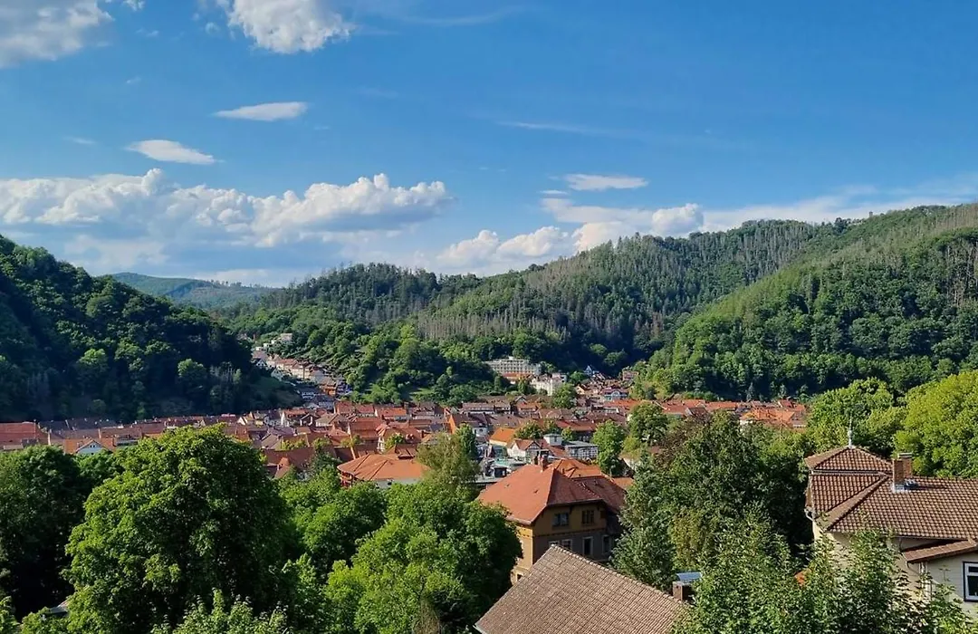 Pension Waldfrieden-1